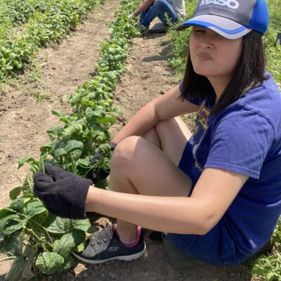 female participant picking produce