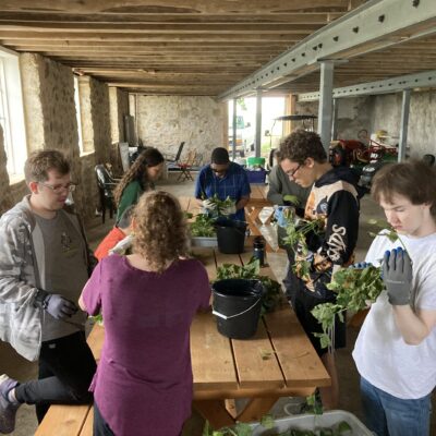 group of participants sorting produce